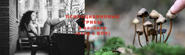 бутират Богданович